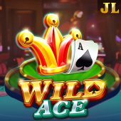 1xbet ph Wild Ace